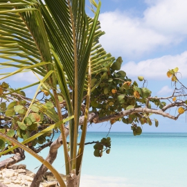 Edgeofparadise
