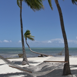 Paradisefound