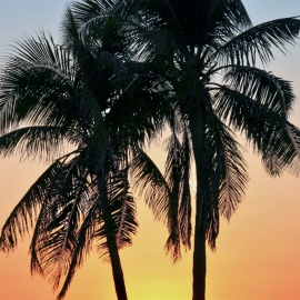 Sanibel Sunsetedited