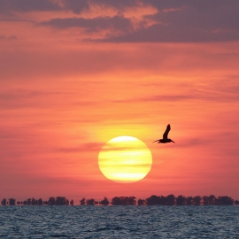 Sanibelcausewaysunset  (1)