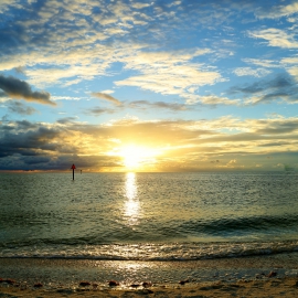 Shyofsunsetbest